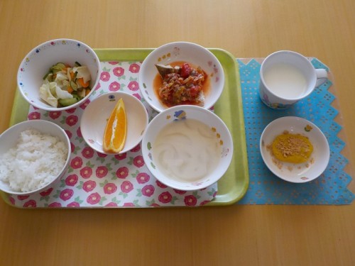 DSCN0426