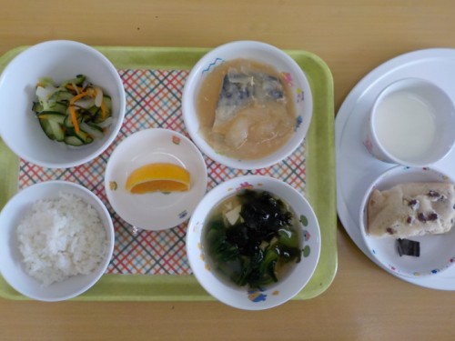 DSCN0308