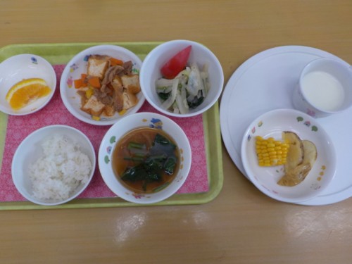 DSCN4391