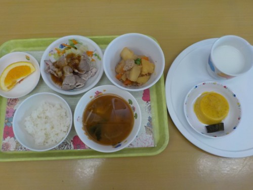 DSCN4167