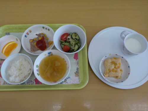 DSCN4292