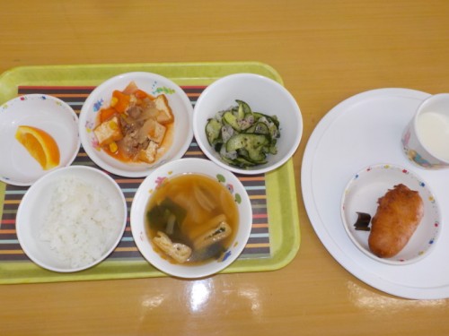 DSCN5056