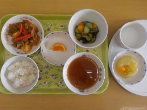 DSCN4852