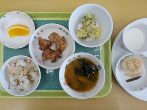 DSCN6562