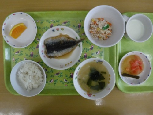 DSCF6033