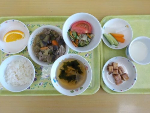 DSCN7132