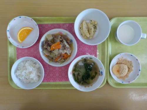 DSCN7264