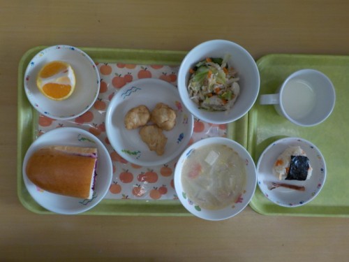 DSCN7539