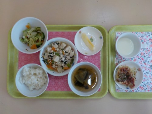 DSCN2379