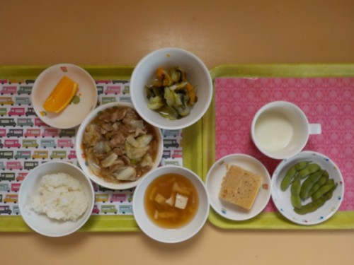 DSCN4503