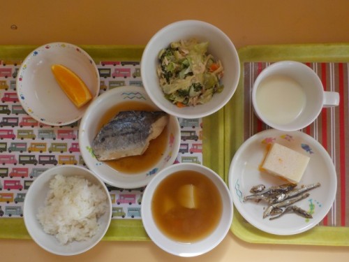 DSCN5553