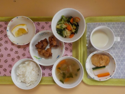 DSCN5556