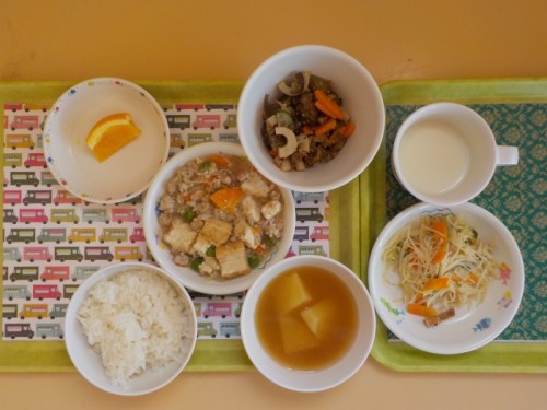 DSCN6096