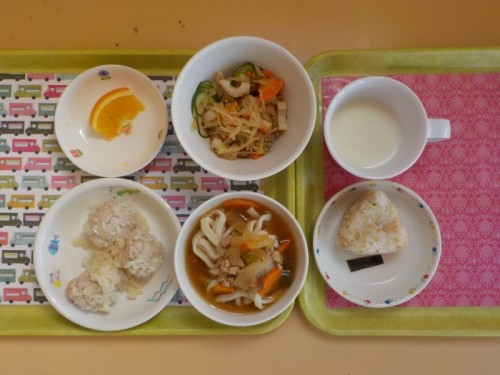 DSCN6105