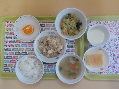 DSCN6248