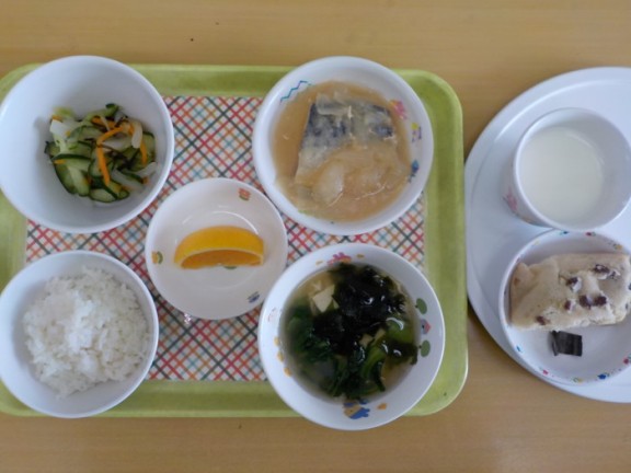 DSCN0308