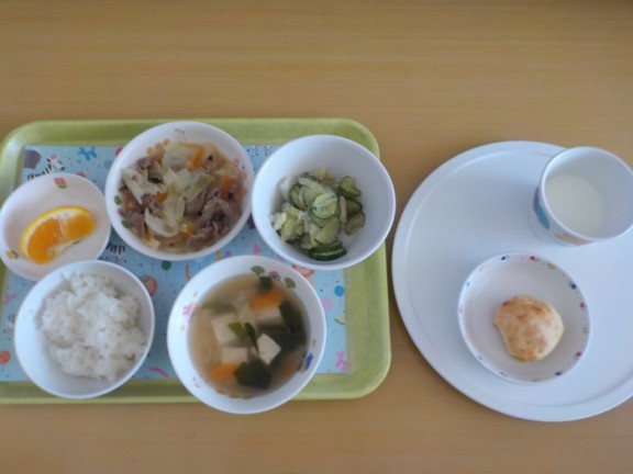 DSCN4322