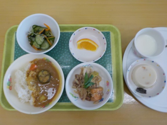 DSCN4527