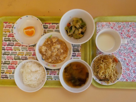 DSCN6207
