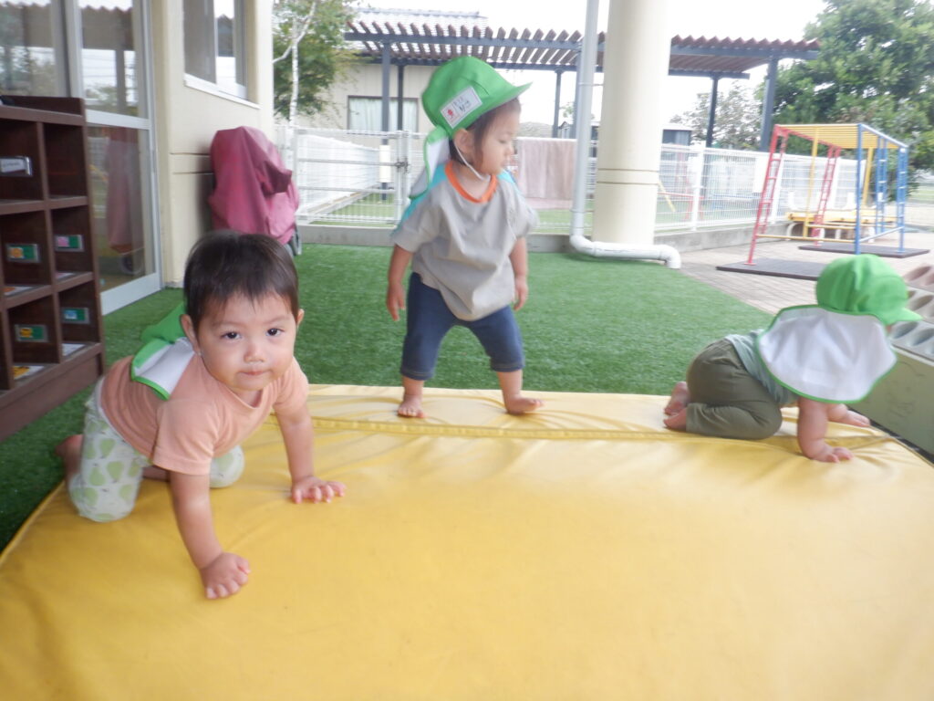 つくし組　今週の様子