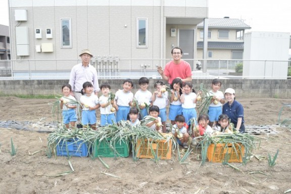 ばら組　玉ねぎの収穫