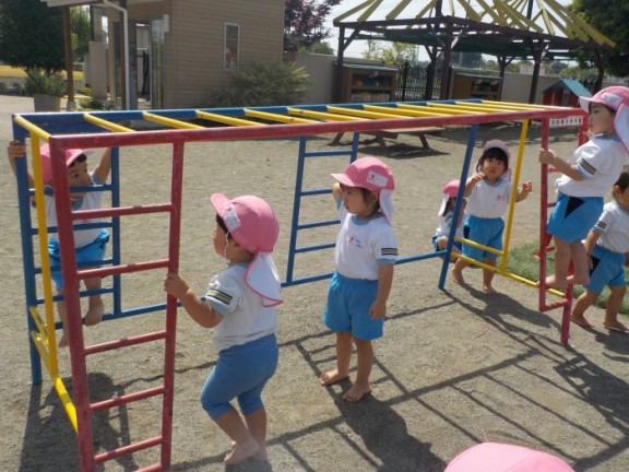 すみれ組　今週の様子