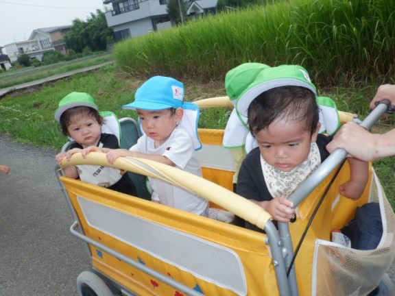 つくし組　今週の様子