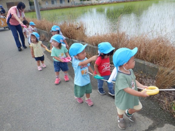 たんぽぽ組　今週の様子